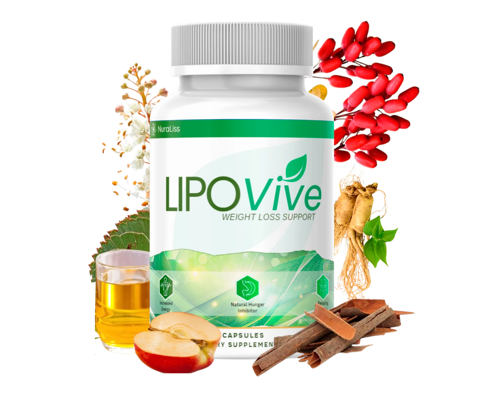 lodo lipovive